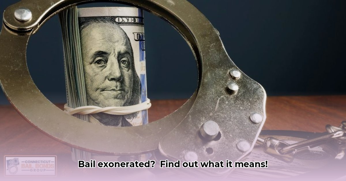 bail-exonerated-meaning